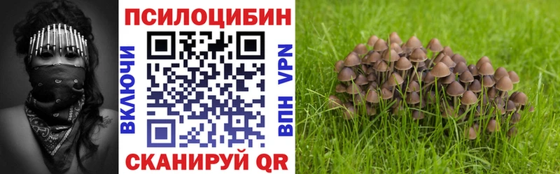 Купить Светлоград Псилоцибиновые грибы ЛСД