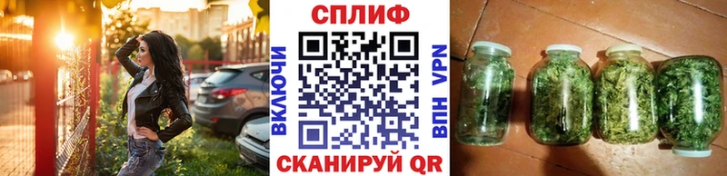 Купить закладки  Светлоград  Шишки марихуана планчик 